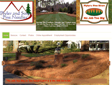 Tablet Screenshot of plylersonspineneedles.com